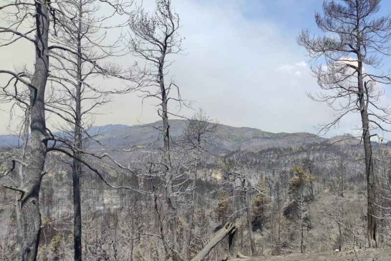 publications fotia eyboia 2021 3 1024x683